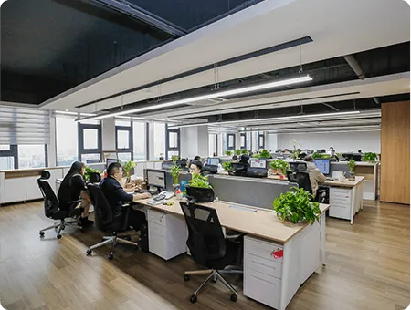 our office 4